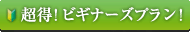 ビギナーズプラン